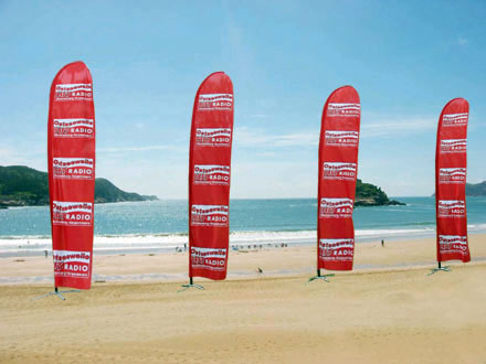 beach-wings2-440